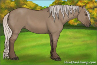 Horse Color:Silver Grullo 