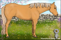 Horse Color:Chocolate Palomino 