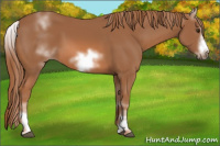 Horse Color:White Spotted Chestnut Sabino Frame 