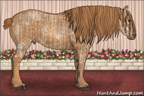 Horse Color: Red Dun Splash  Brindle
