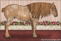 Horse Color:Red Dun Splash  Brindle