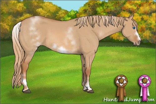 Horse Color: White Spotted Red Dun Sabino Frame 