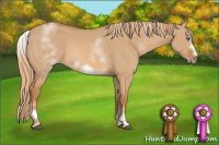 Horse Color:White Spotted Red Dun Sabino Frame 
