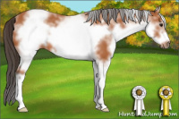 Horse Color:White Spotted Bay Sabino Frame