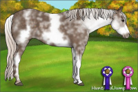 Horse Color:White Spotted Silver Black Sabino Frame 