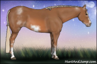 Horse Color:White Spotted Chestnut Sabino Frame 