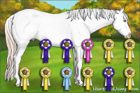 Horse Color:Gold Champagne Roan Splash Snowcap 