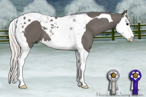 Horse Color: Silver Black Splash Tobiano 