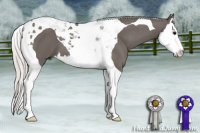 Horse Color:Silver Black Splash Tobiano 