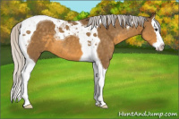 Horse Color:Silver Buckskin Splash Tobiano 