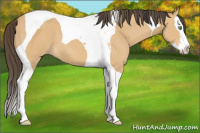 Horse Color:Amber Cream Champagne Splash Tobiano 