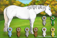 Horse Color:Buckskin Pearl Sabino Tobiano Blanket 