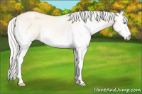 Horse Color:White Spotted Silver Perlino Dun 