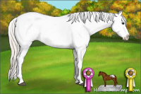 Horse Color:Silver Brown Splash Appaloosa 