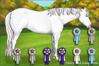 Horse Color:Silver Brown Splash Frame Blanket 