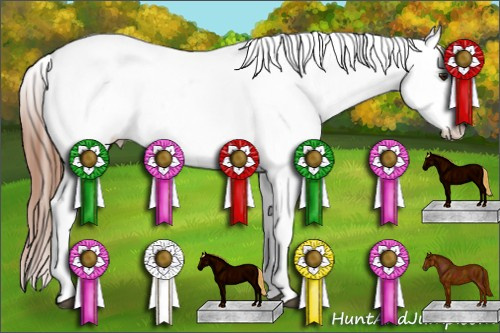 Horse Color: Liver Chestnut Splash Near Leopard Rabicano 