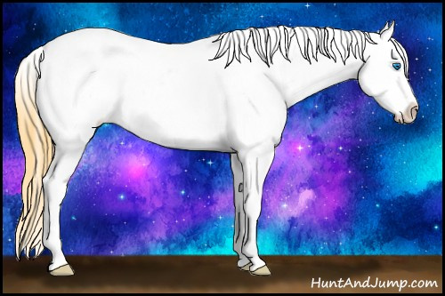 Horse Color: Buckskin Dun Splash Near Leopard 