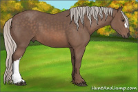 Horse Color:Silver Black 