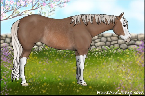 Horse Color: Silver Black Splash Rabicano 