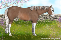 Horse Color:Silver Black Splash Rabicano 