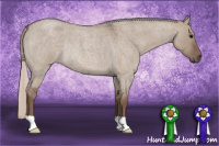 Horse Color:Silver Grullo Roan Rabicano 