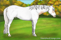 Horse Color:White Spotted Silver Bay Pearl Splash Tobiano Frame 