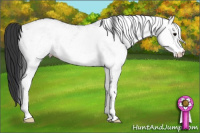 Horse Color:White Spotted Black 