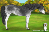Horse Color:White Spotted Black 