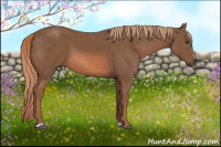 Horse Color:Liver Chestnut Sabino