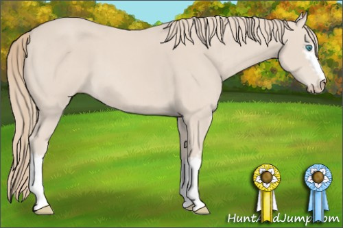 Horse Color: White Spotted Perlino 