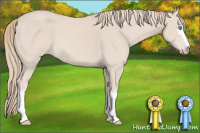 Horse Color:White Spotted Perlino 