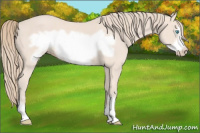 Horse Color:Perlino Frame