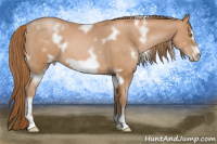 Horse Color:White Spotted Bay Pearl Frame