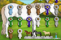Horse Color:White Spotted Perlino Dun 