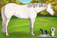 Horse Color:White Spotted Perlino Dun 