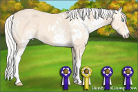 Horse Color:White Spotted Silver Perlino 