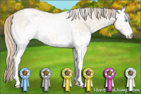 Horse Color:White Spotted Perlino Dun 
