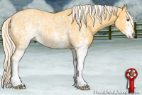 Horse Color:White Spotted Palomino Rabicano