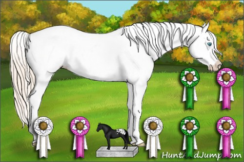Horse Color: White Spotted Perlino Dun Blanket 