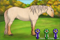 Horse Color:Palomino Roan Dun
