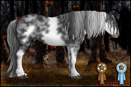 Horse Color: White Spotted Black Frame 