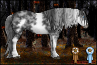 Horse Color:White Spotted Black Frame