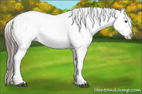 Horse Color:Brown Roan Splash Appaloosa Rabicano 