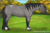 Horse Color:Grullo Roan Tobiano