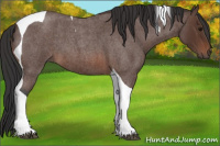 Horse Color:Brown Roan Tobiano 