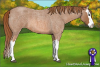 Horse Color:Red Roan Splash 