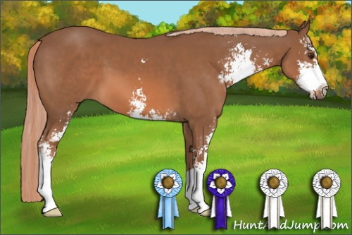 Horse Color: Chestnut Sabino 
