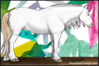 Horse Color:Sable Cream Champagne Appaloosa