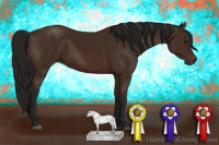 Horse Color:Gray Bay 