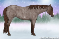 Horse Color:Gray Red Roan Splash Frame Rabicano